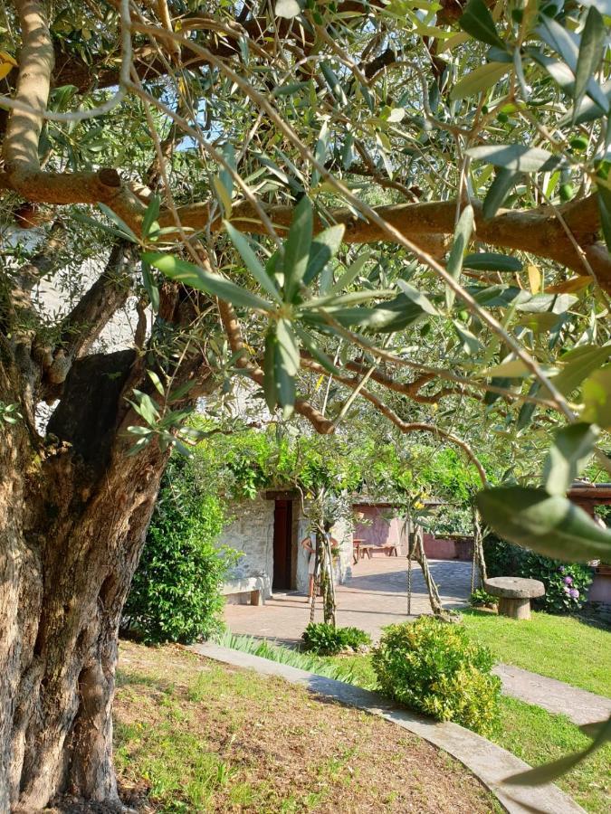 Villa D'Epoca Le Capele Gratacasolo Екстериор снимка
